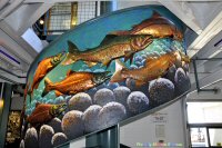 Photo-Trip-to-Port-Angeles-35-2010-07-23-Salmon-Staircase
